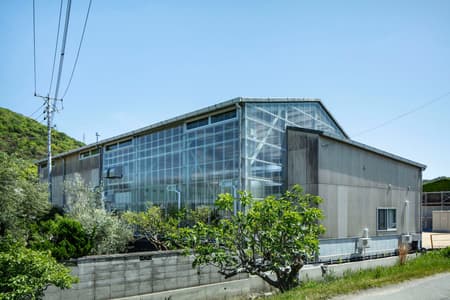 Teshima Factory