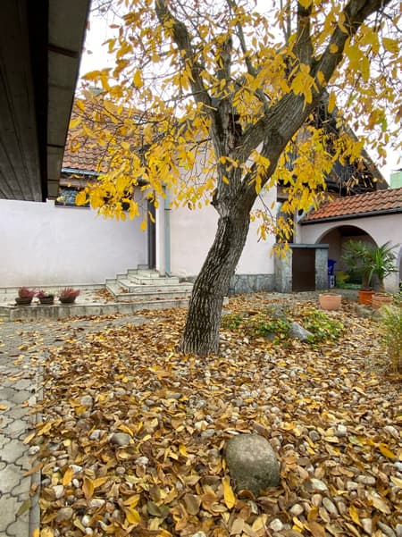 Reconstruction of a Reconstructed House