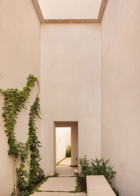 Montijo Municipal Gallery's Garden