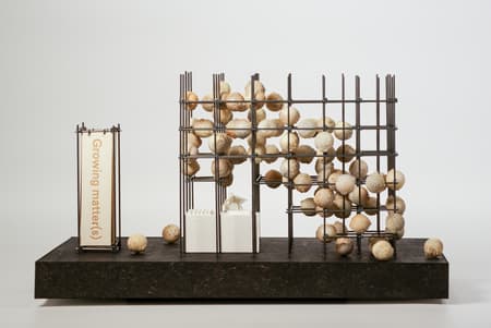 Growing Matter(s) Pavilion 