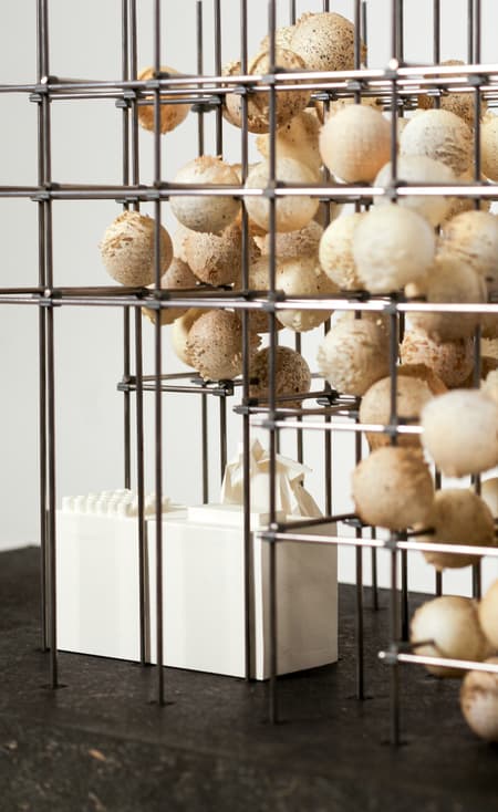 Growing Matter(s) Pavilion 