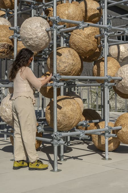 Growing Matter(s) Pavilion 