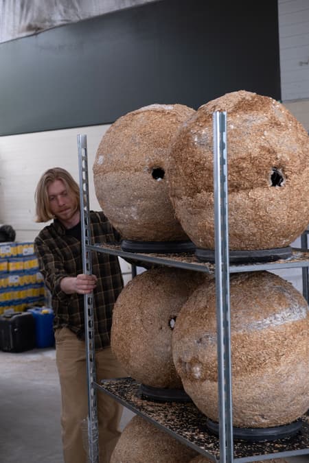 Growing Matter(s) Pavilion 