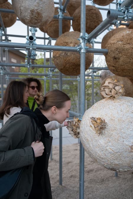 Growing Matter(s) Pavilion 