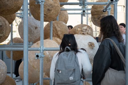 Growing Matter(s) Pavilion 