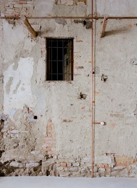 THE OLD WINE PRESS
