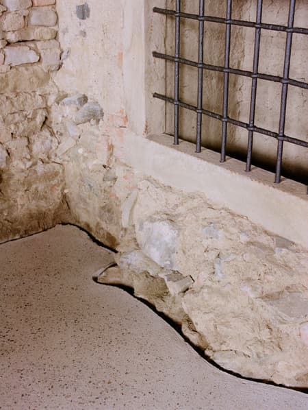 THE OLD WINE PRESS