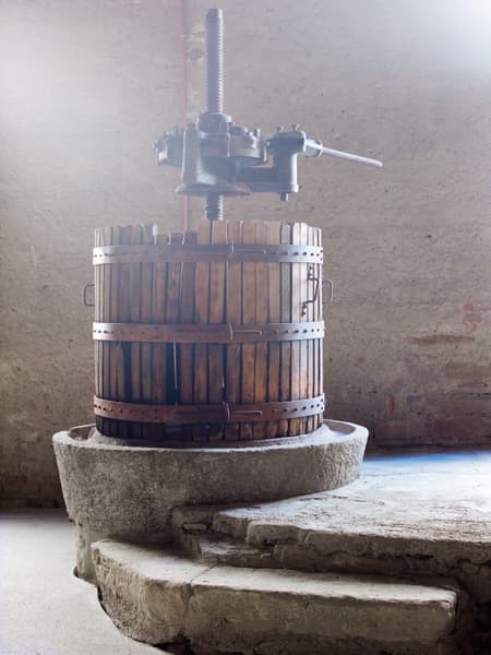 THE OLD WINE PRESS