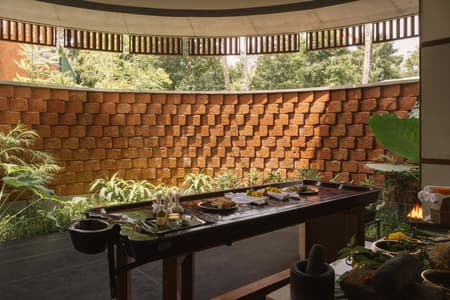 Nirava Ayurveda Holistic Centre