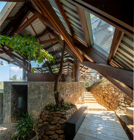 Lateral Verandah House