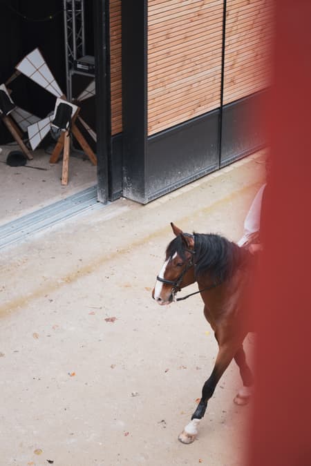 Hennebont National Stud Farm