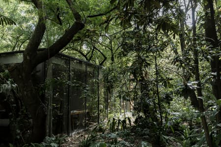 Casa Mague