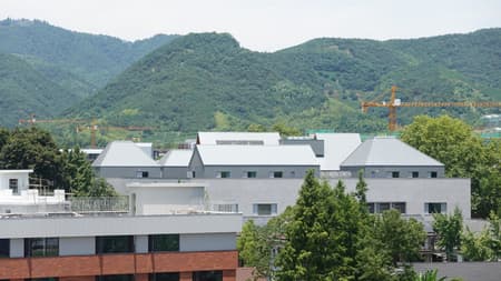 7Hills Yard - Hillstation Brand Center