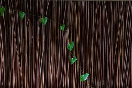 Guột Garden Club House