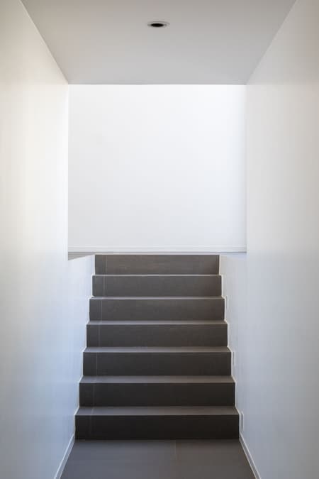 Fischgold House Renovation