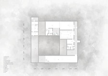 House for Rejuvenation