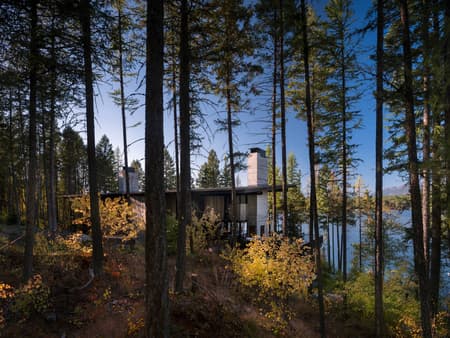 Dragonfly House