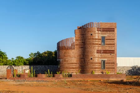 House of Dancing cactus