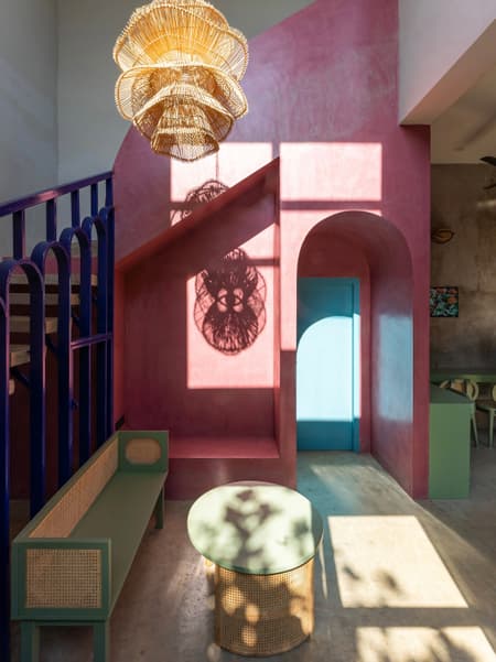 House of Dancing cactus