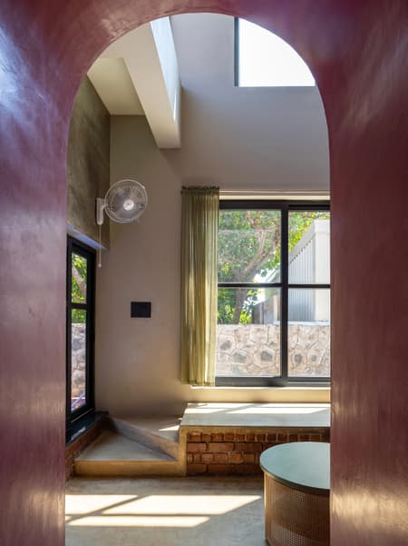 House of Dancing cactus