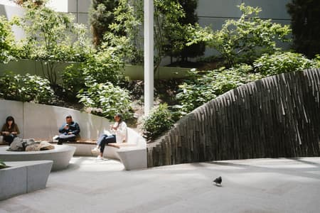 550 Madison Avenue Garden