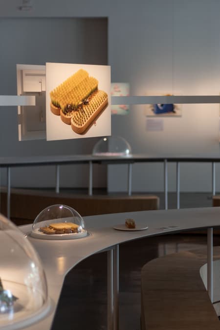 Tatsuya Tanaka