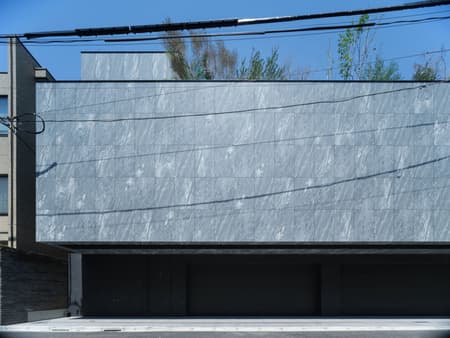 STEALTH House