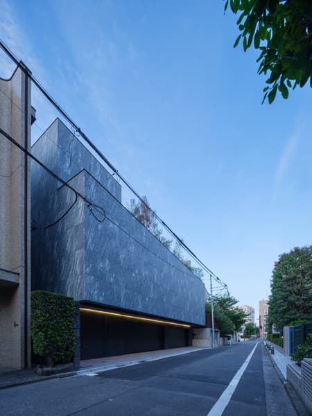STEALTH House