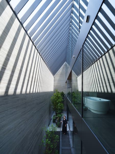 STEALTH House
