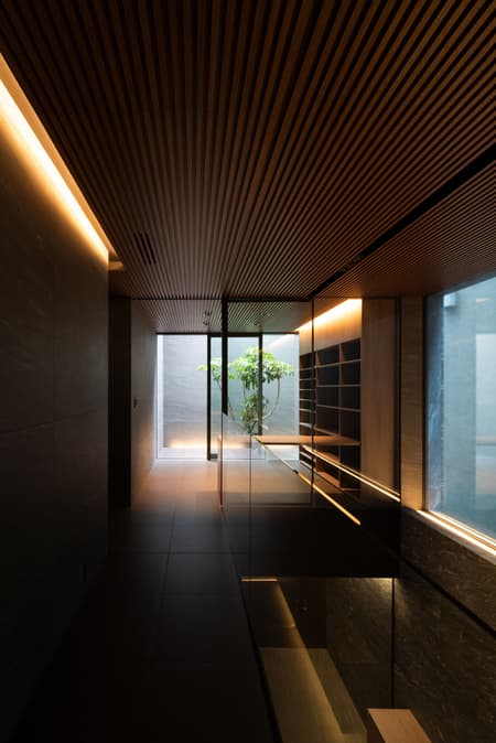 STEALTH House