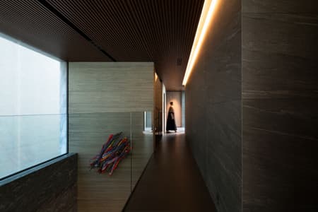 STEALTH House