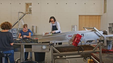 Winery Bélair-Monange