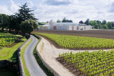 Winery Bélair-Monange