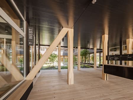 Hortus Allschwil
