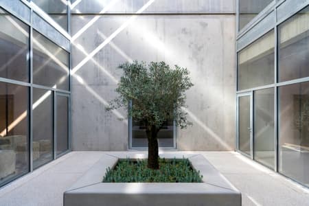 Narbo Via Museum