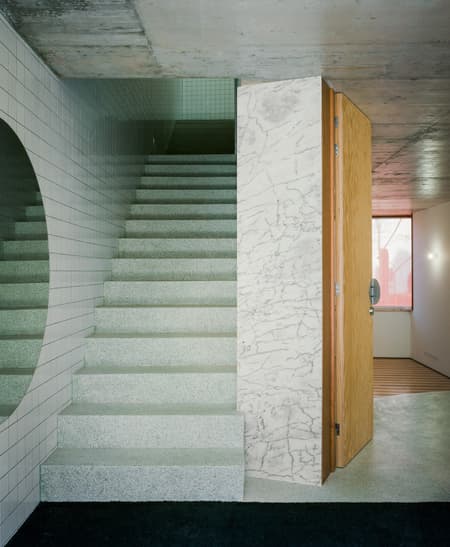 Housing with Pink Chimneys