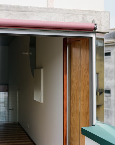 Housing with Pink Chimneys