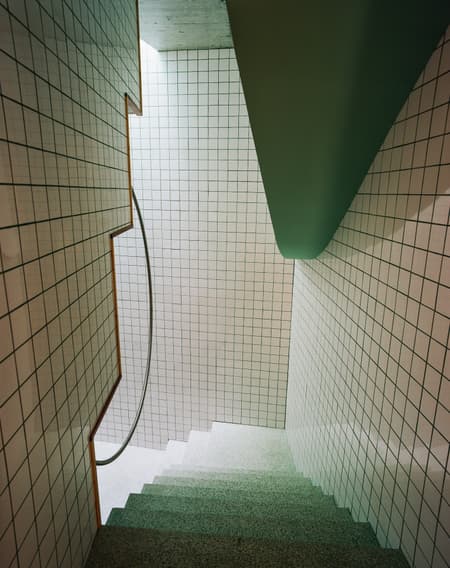 Housing with Pink Chimneys