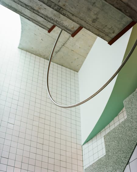 Housing with Pink Chimneys