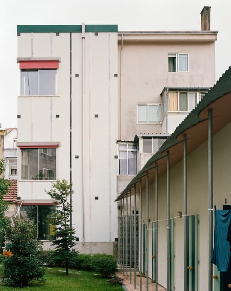 Housing with Pink Chimneys