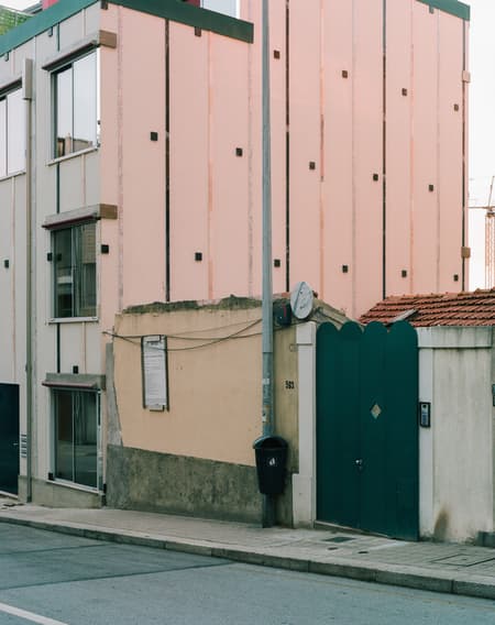 Housing with Pink Chimneys