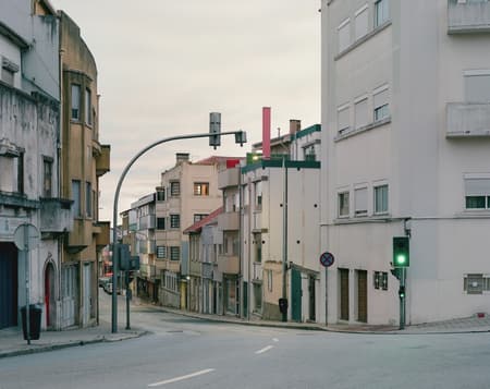 Housing with Pink Chimneys
