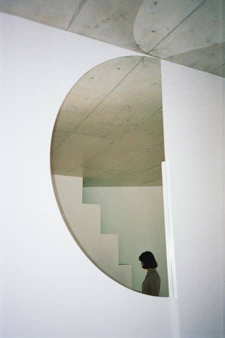 Housing with Pink Chimneys