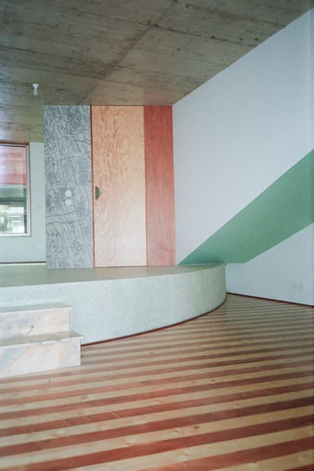 Housing with Pink Chimneys