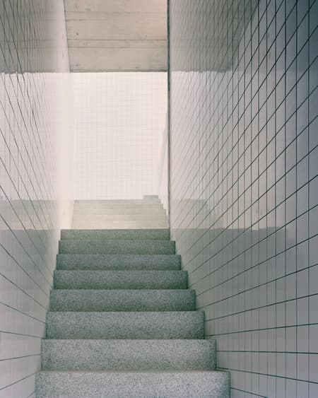 Housing with Pink Chimneys