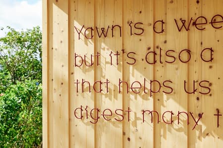 YAWN YARD Kouri Island 