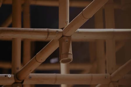 The Structural Field