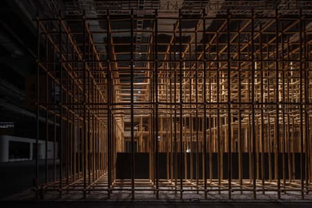 The Structural Field