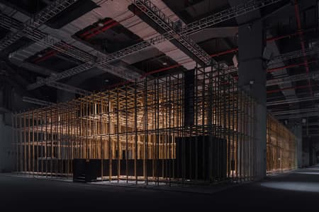 The Structural Field