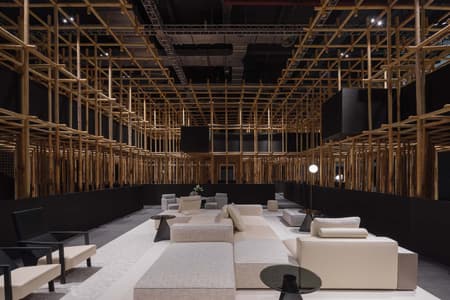 The Structural Field